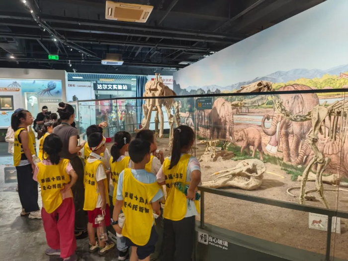 暑期托管1 暑期托管1